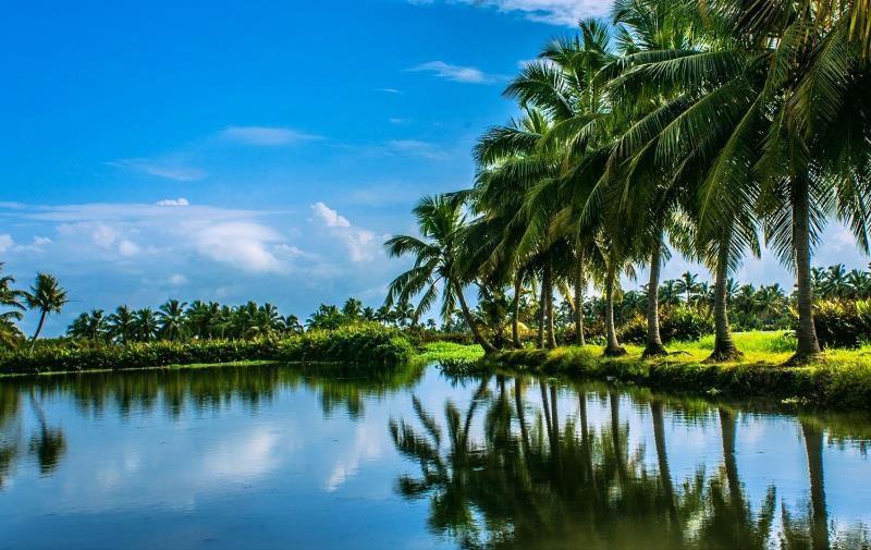 Golden Beach Home Stay Alappuzha Exteriér fotografie